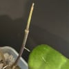 Hoya plant stem and leaf in a pot, showcasing healthy foliage and growth.
