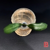 apoensis-b-2 Hoya apoensis