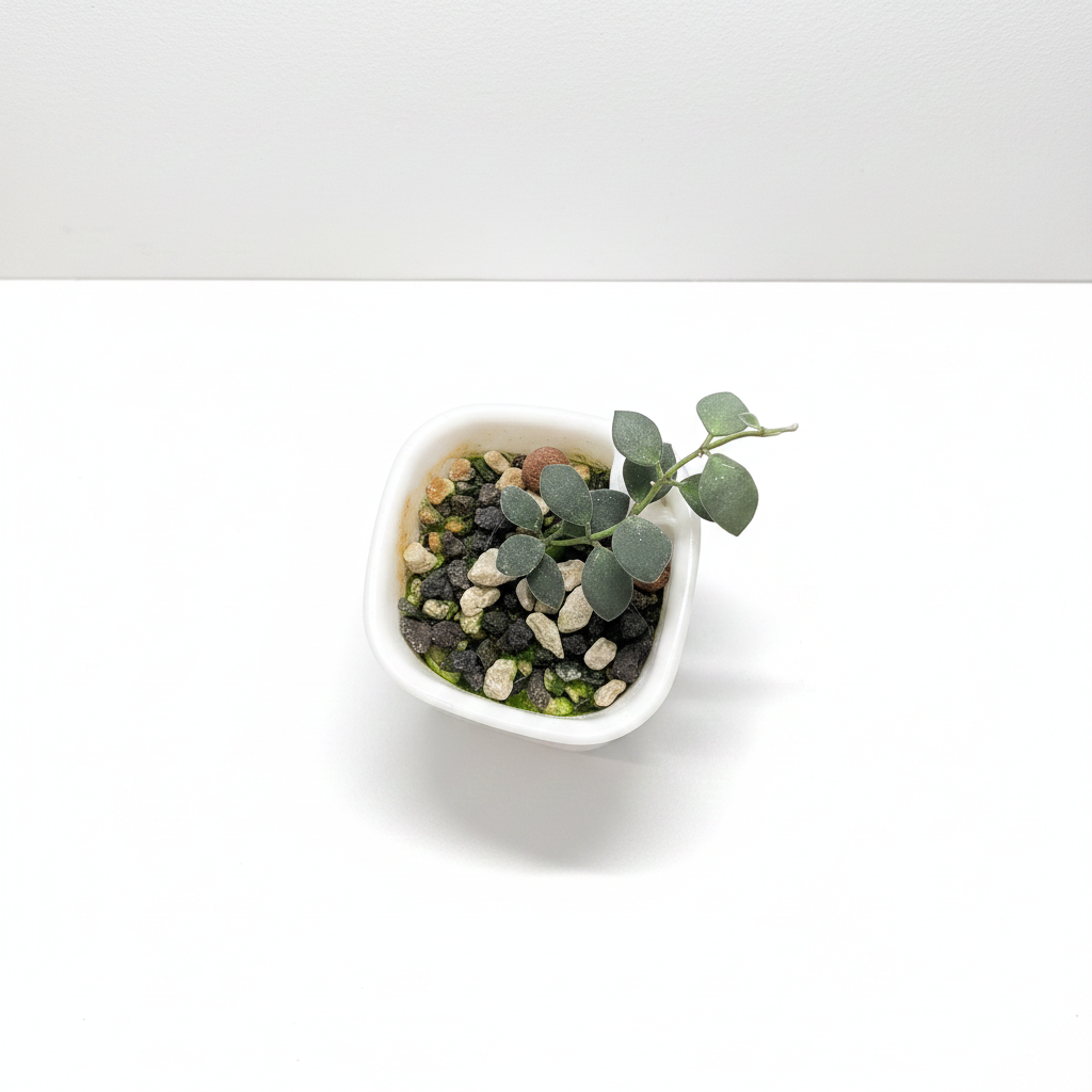 Hoya boycei