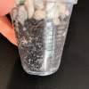 Hoya plant cutting in a clear plastic cup with soil and roots visible.