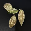 Hoya lacunosa ‘Laos’ variegated Hoya plant with speckled leaves.