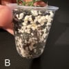 Hoya lacunosa plant in clear pot with soil and roots visible.