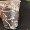 Hoya plant cutting in clear plastic cup with soil and roots visible.
