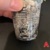 Hoya plant in small plastic pot, showcasing healthy foliage and root development. Perfect for indoor.