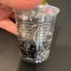 Hoya plant cutting in clear plastic pot with soil and roots visible.