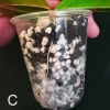 Young Hoya leucantha plant in clear plastic pot with green leaves.