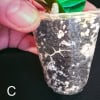Hoya leucantha cutting in small plastic pot with soil and green leaves.