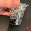 Hoya plant cutting with roots in small plastic pot, ready for planting.