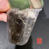 Hoya plant in small clear plastic pot with soil and roots visible.