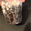 Hoya paradisea plant cutting with roots in a clear container.