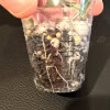 Hoya paradisea seedling growing in a clear plastic cup with soil and roots visible.