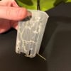Hoya plant cutting in small pot for propagation, healthy green leaves.