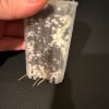 Hoya plant seedling in clear propagation container with roots visible.
