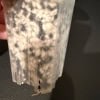 Hoya seedling growing in a clear plastic container with soil.