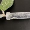 Hoya plant cutting in test tube for propagation.