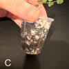 Hoya tengchongensis cutting in small plastic pot with soil and roots.