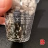 Hoya Plant Propagation in Clear Cup Hoya plant cutting rooted in water inside a clear plastic cup.