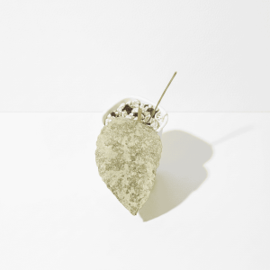 Close-up of a Hoya plant leaf in a white pot on a white background.