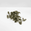 Hoya Plant Cutting Fresh Hoya plant cutting with thick, waxy leaves for indoor gardening.