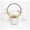 Hoya Plant in White Pot Hoya plant with variegated leaves in a white decorative pot.