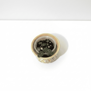 Small Hoya plant in a decorative ceramic pot on a white surface.