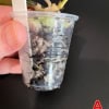 Young Hoya plant cutting in transparent cup with soil and roots.
