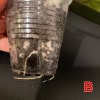 Young Hoya plant growing in a clear plastic pot with soil and roots visible.