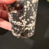 Rooted Hoya yvesrocheri cutting in small plastic pot for propagation.